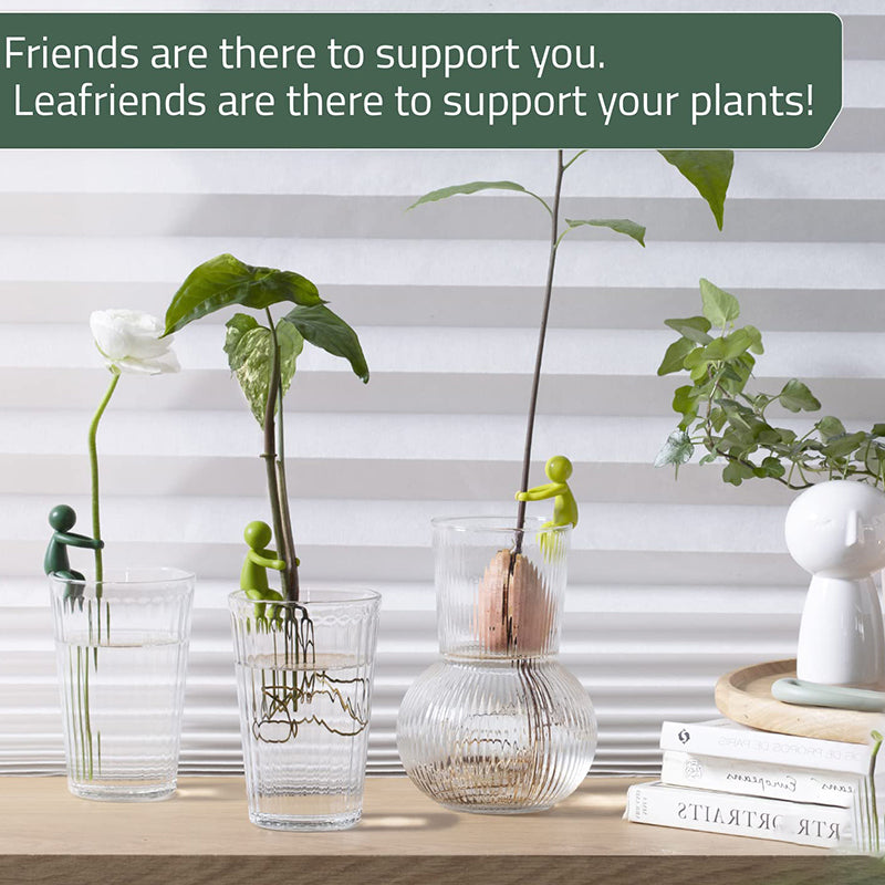 Support decorative and flexible cuttings for plants (x3) 