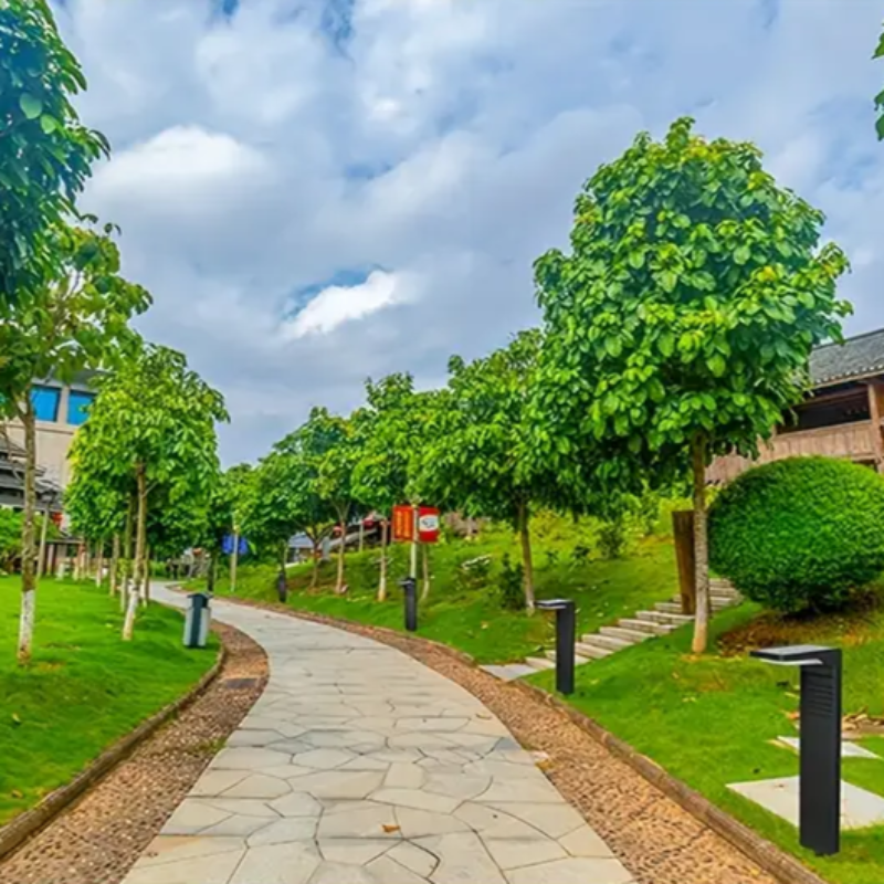 Ilumine seu jardim sem eletricidade nem esforço 