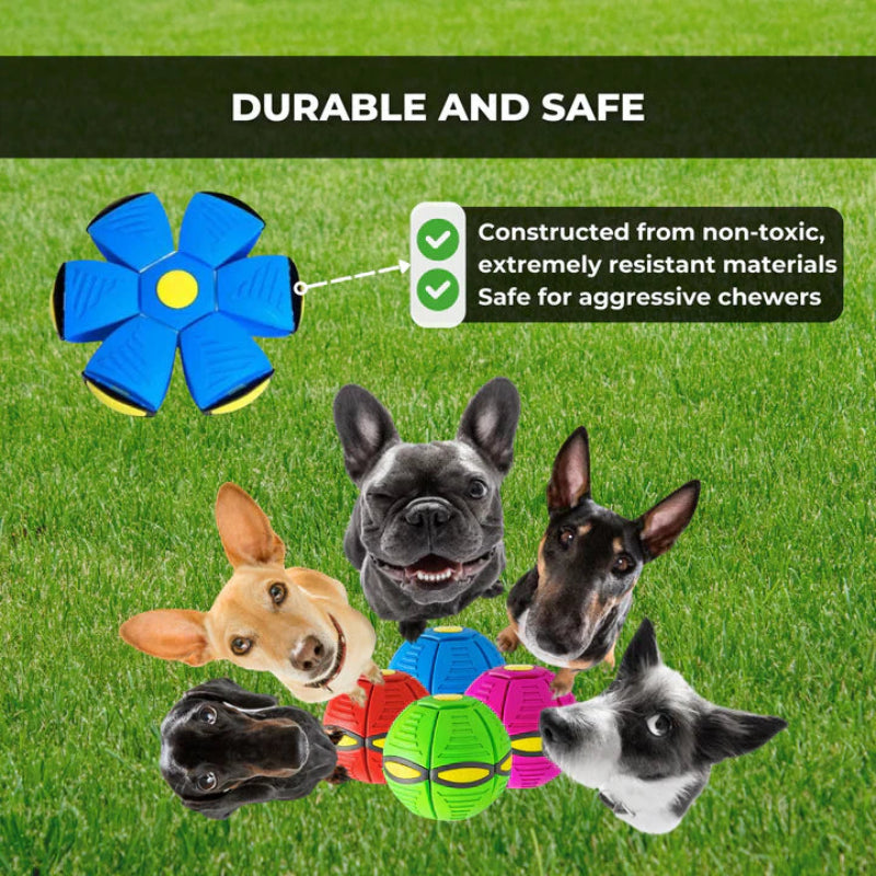 הצעצוע הקופצני שמעורר את כל הכלבים 